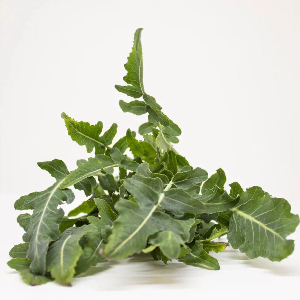 FILIUS ex #SM4.54 BROCCOLO FIOLARO DI CREAZZO SEEDS | Smarties.bio