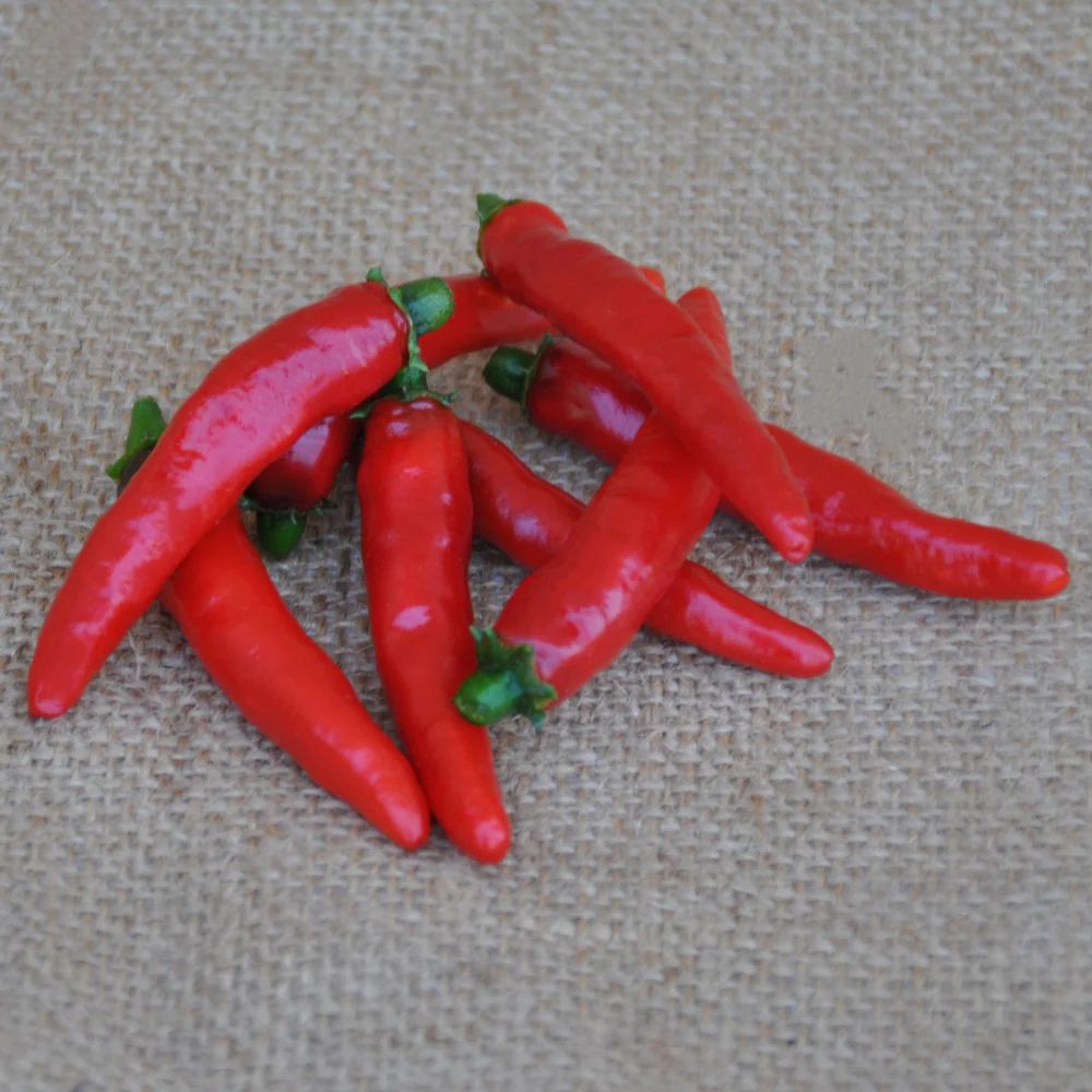 Semi Di Peperoncino Acrata Dal Messico – Piccantezza Media, 30 Semi Per Salse Fatte In Casa E Coltivazione In Vaso