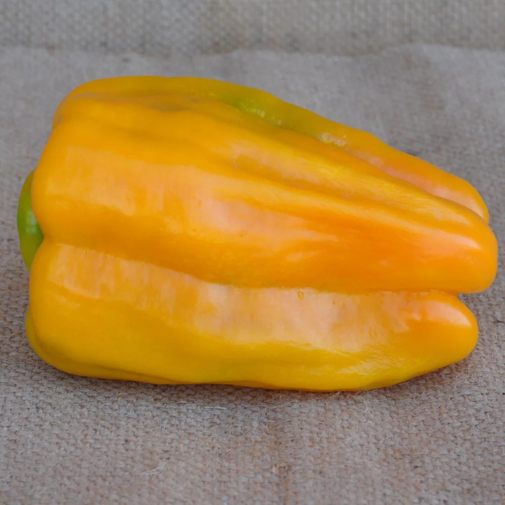 BENNI YELLOW SWEET PEPPER SEEDS | Smarties.bio