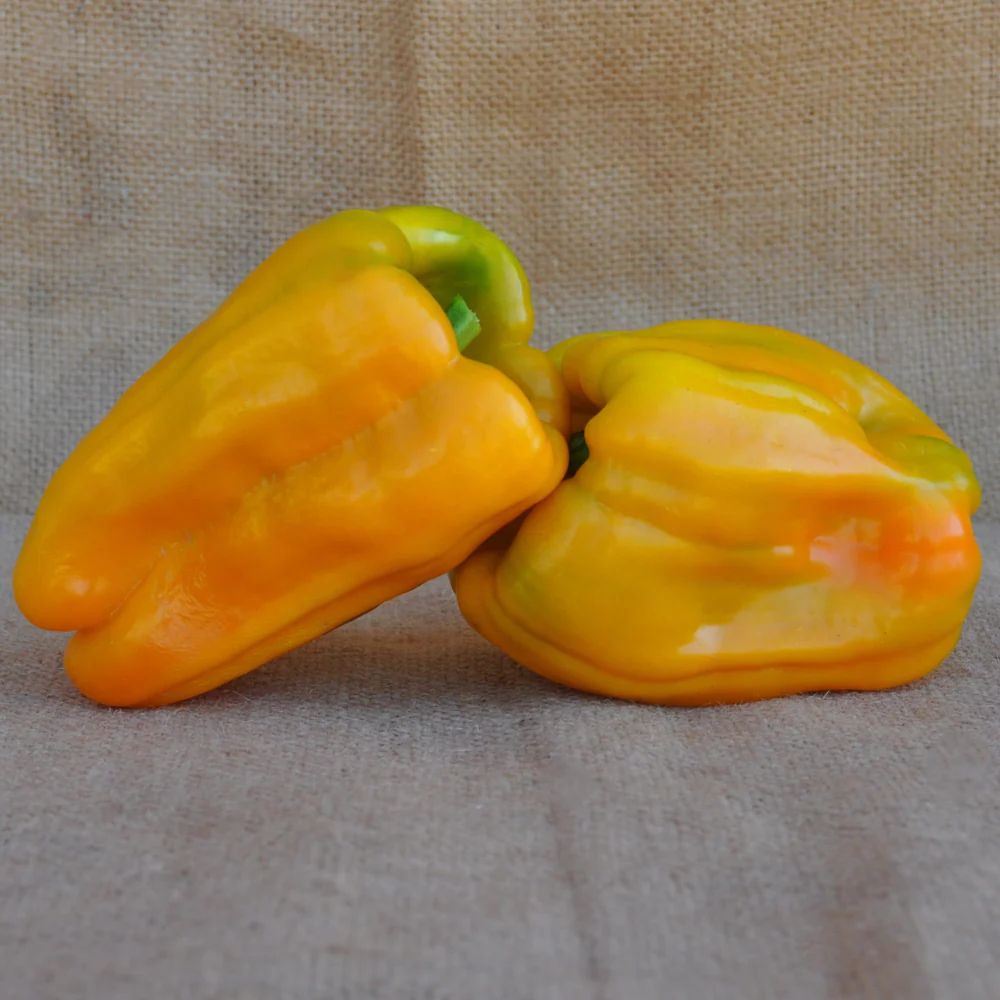 BENNI YELLOW SWEET PEPPER SEEDS | Smarties.bio