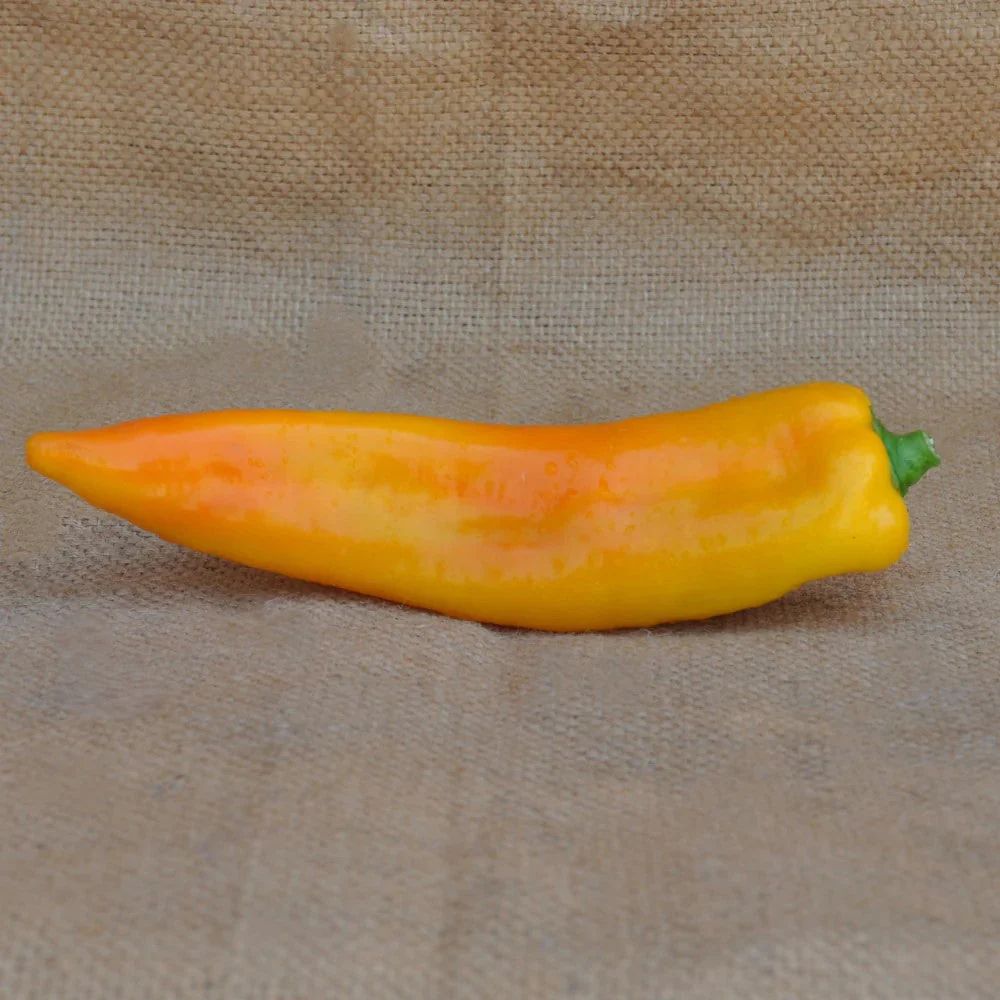 YELLOW SWEET PEPPER CORNO GIALLO SEEDS | Smarties.bio