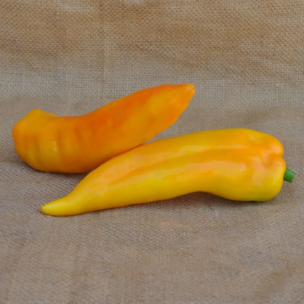 YELLOW SWEET PEPPER CORNO GIALLO SEEDS | Smarties.bio