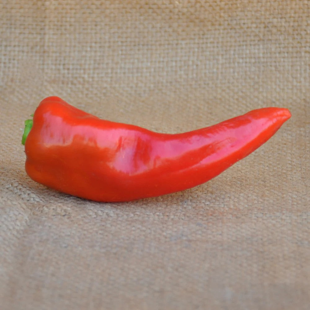 RED SWEET PEPPER CORNO ROSSO SEEDS | Smarties.bio