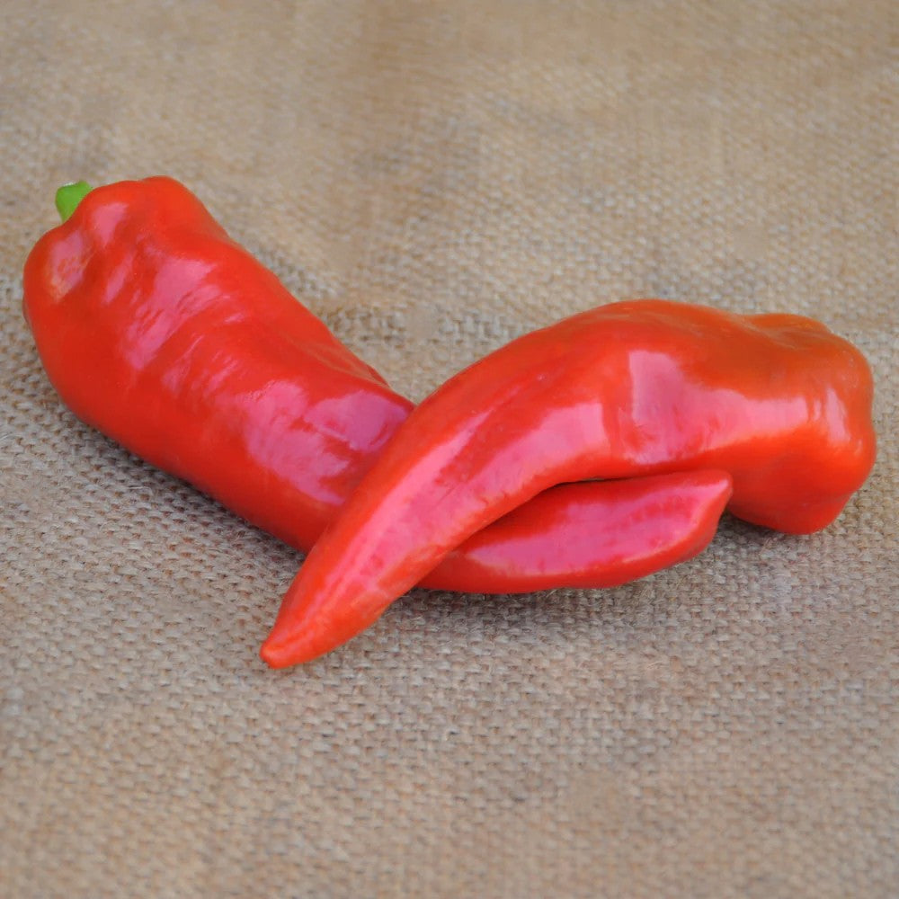 RED SWEET PEPPER CORNO ROSSO SEEDS | Smarties.bio