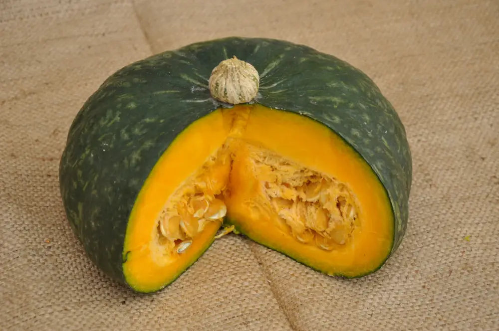 Semi Di Zucca Invernale Kabocha BIO &ndash; 6 Semi Biologici Di Zucca Dolce Gnocchi