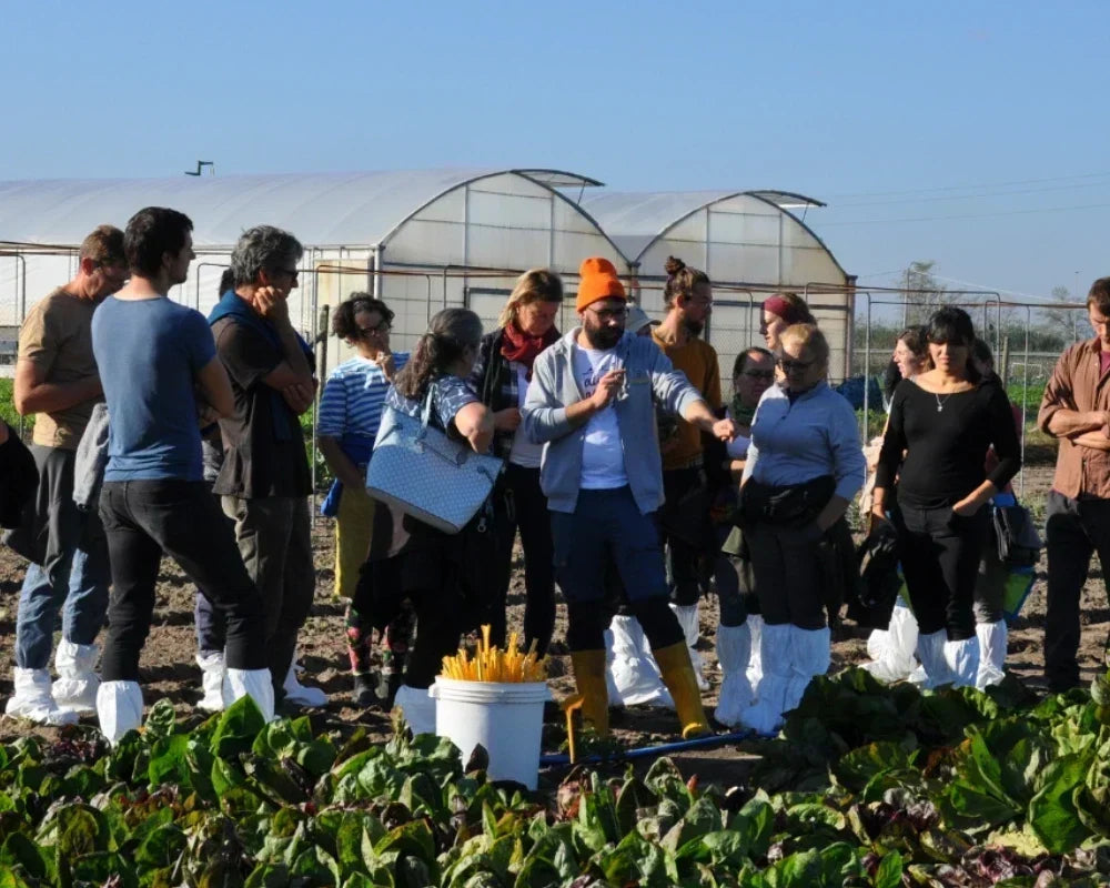 Smarties.bio Autumn/Winter Open Day: discover the new varieties and projects for the upcoming season