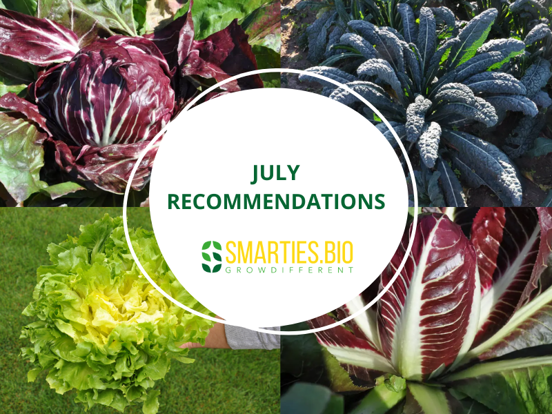 July Recommendations