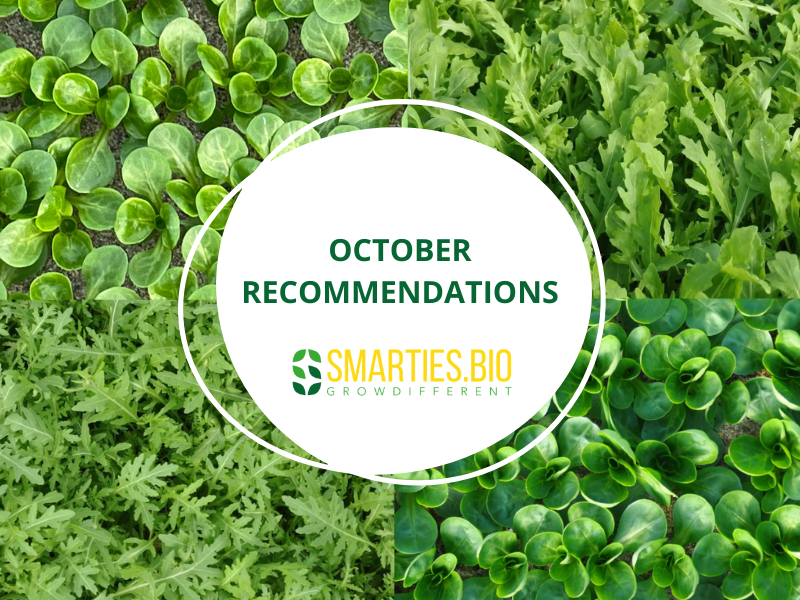 October Recommendations