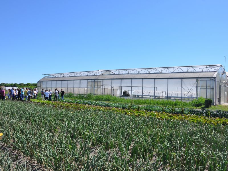 Smarties.bio Spring Open Days: three events to discover our “Grow Different”