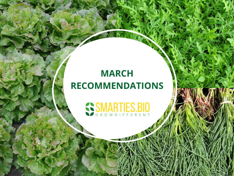 March Recommendations