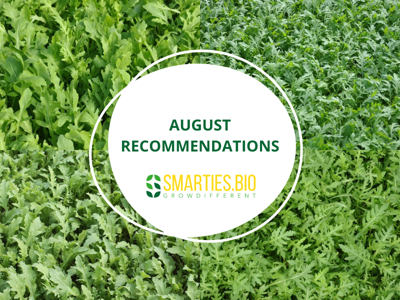 August Recommendations