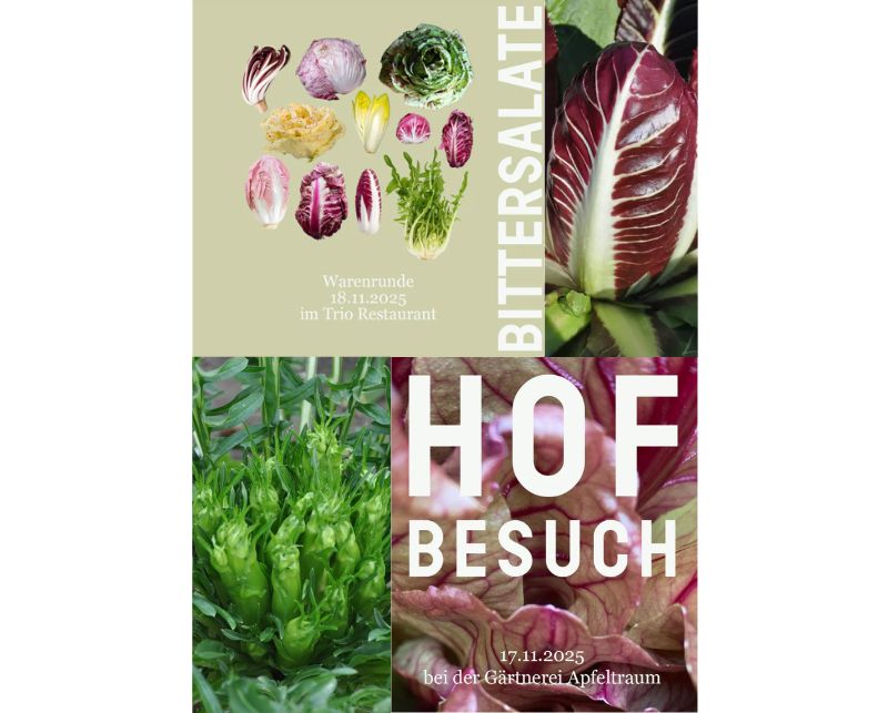 Warenrunde „Radicchio und Bitter­salate“