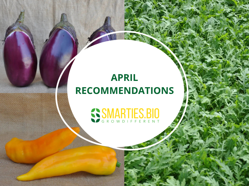 April Recommendations