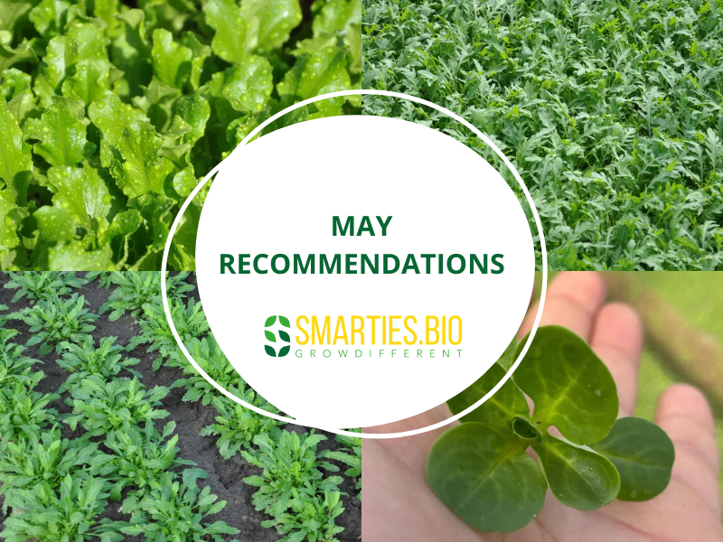 May Recommendations