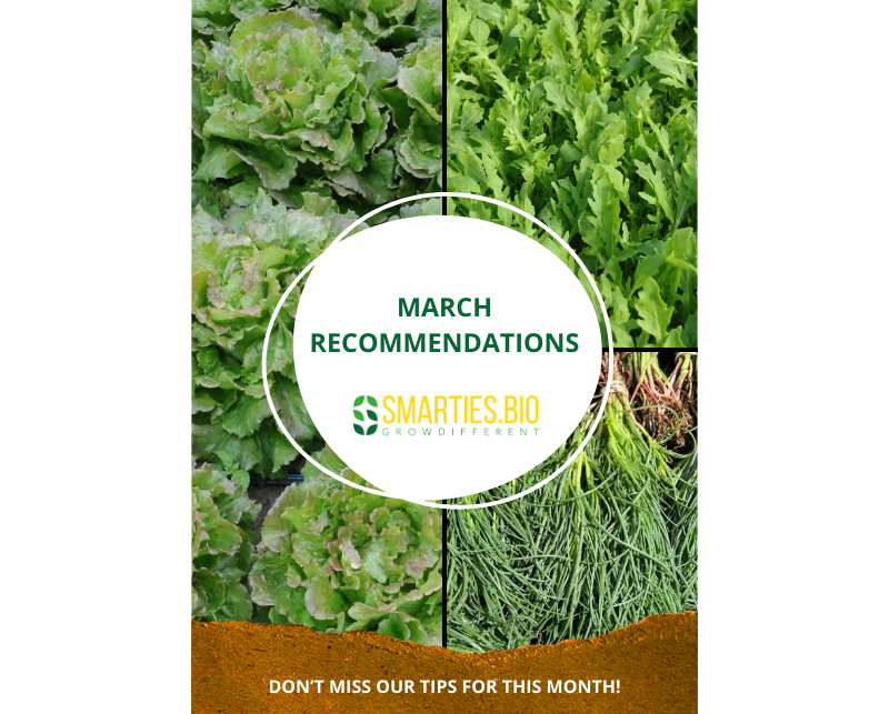 March Recommendations