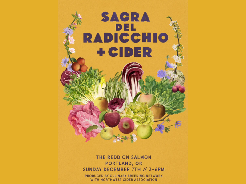 Our Experience at the Radicchio Festival 2025