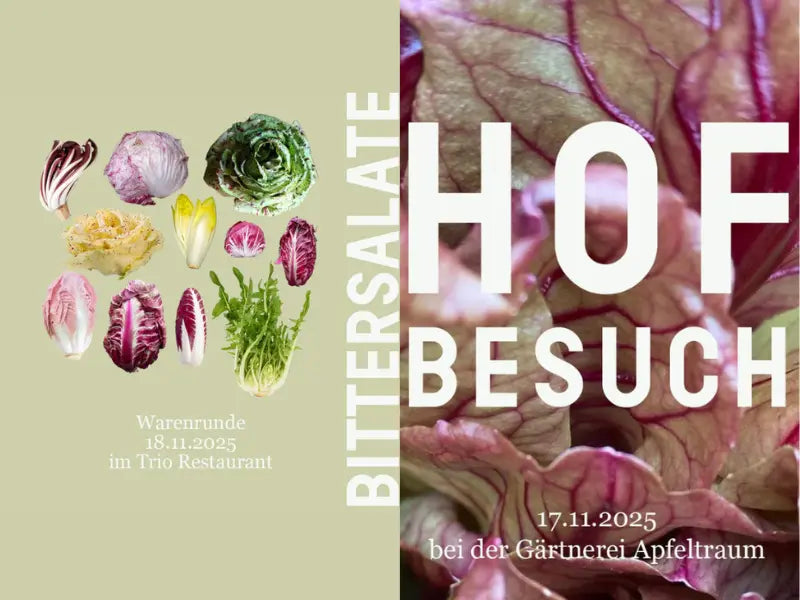 Warenrunde „Radicchio und Bitter­salate“