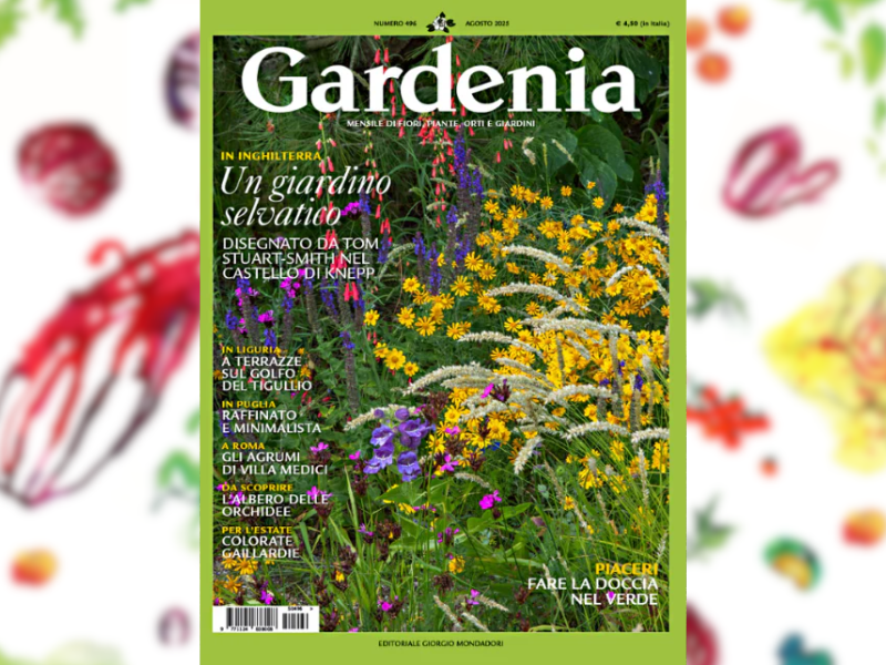 GARDENIA monthly magazine of flowers, plants, vegetable gardens, and gardens