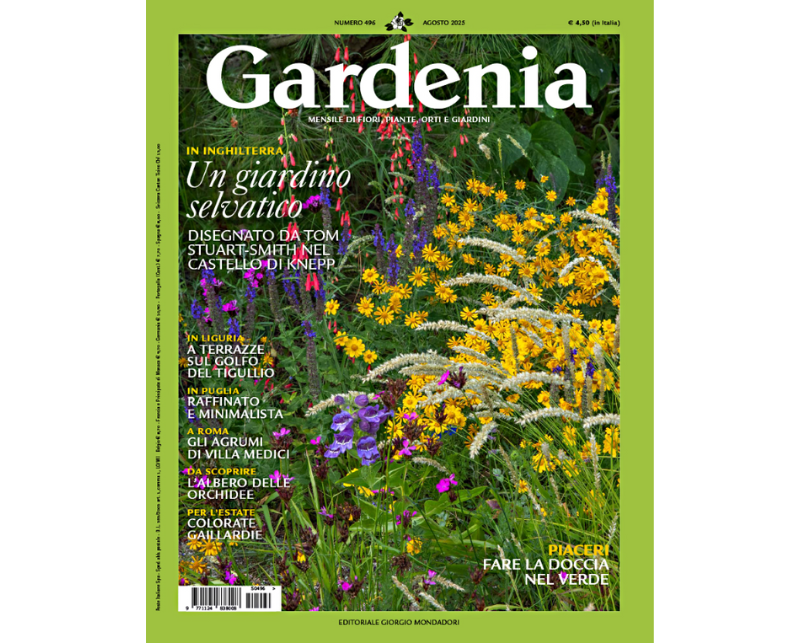 GARDENIA monthly magazine of flowers, plants, vegetable gardens, and gardens