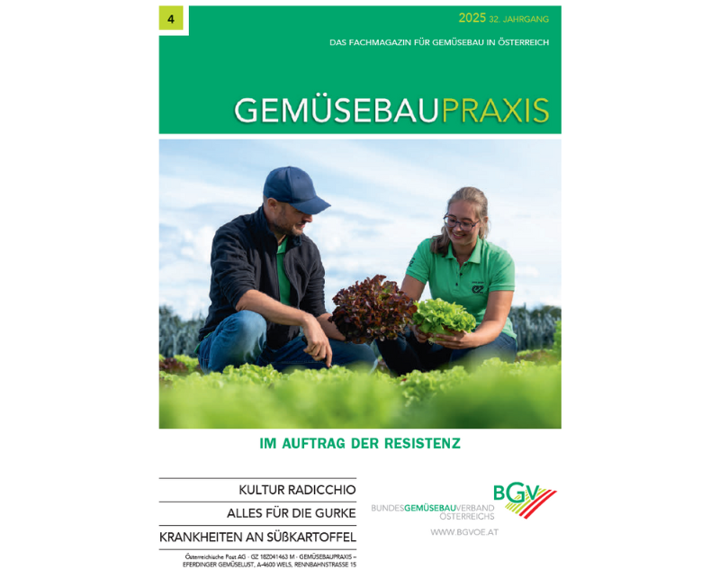 Radicchio – An Italian Conquers Austria