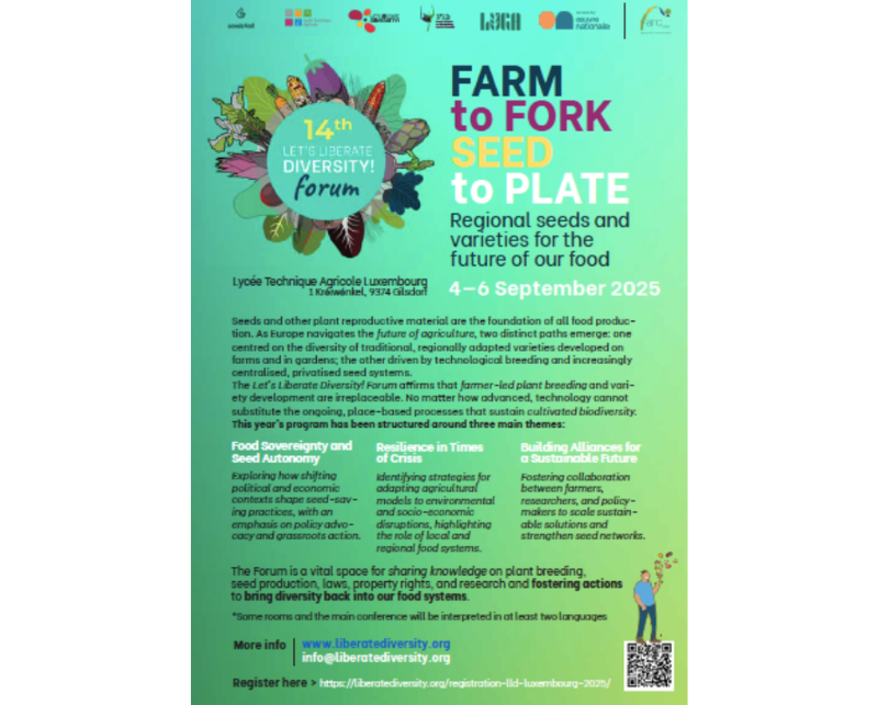 Let’s Liberate Diversity! 14º forum LLD