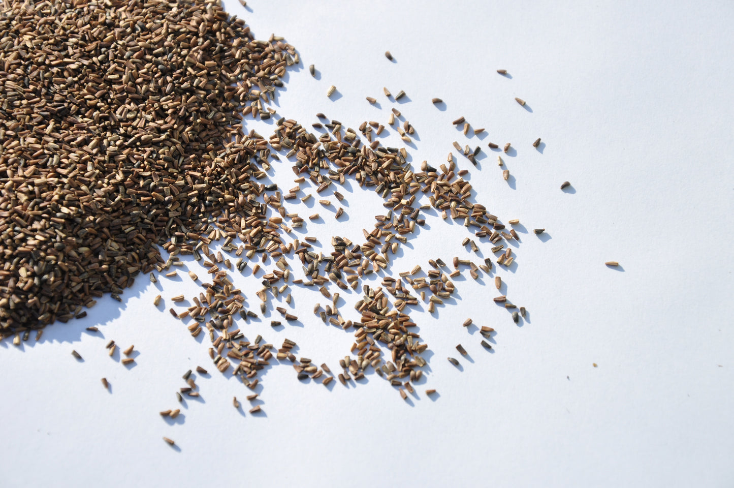 Calibrated seeds