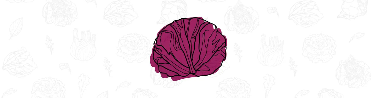 Baby Leaf Lettuce seeds