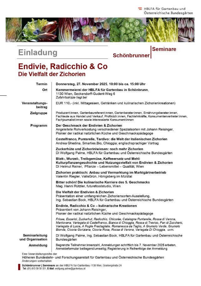 Endivie, Radicchio & Co