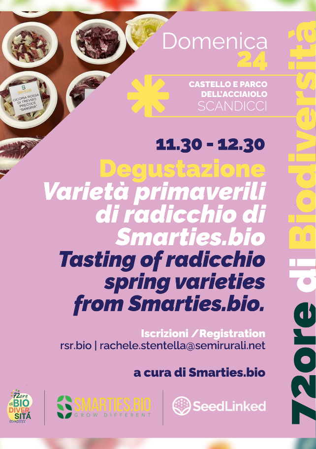 Tasting of radicchio spring varieties from Smarties.bio