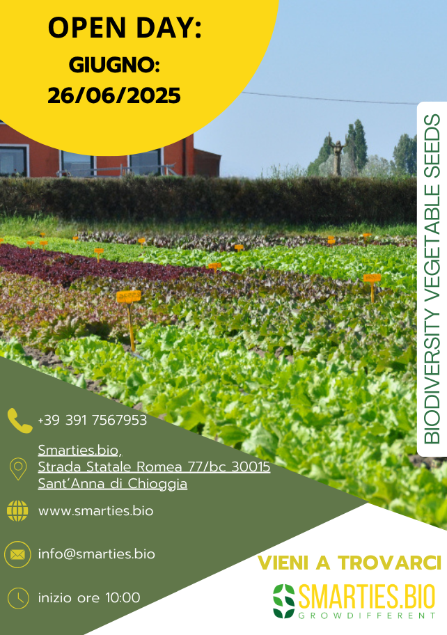 Open Day
