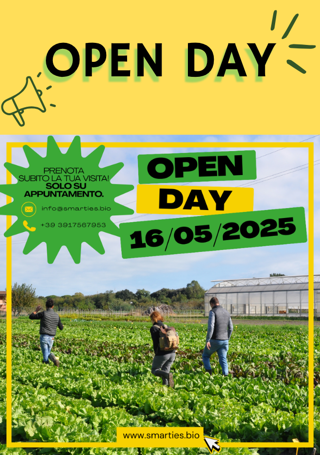 Open Day