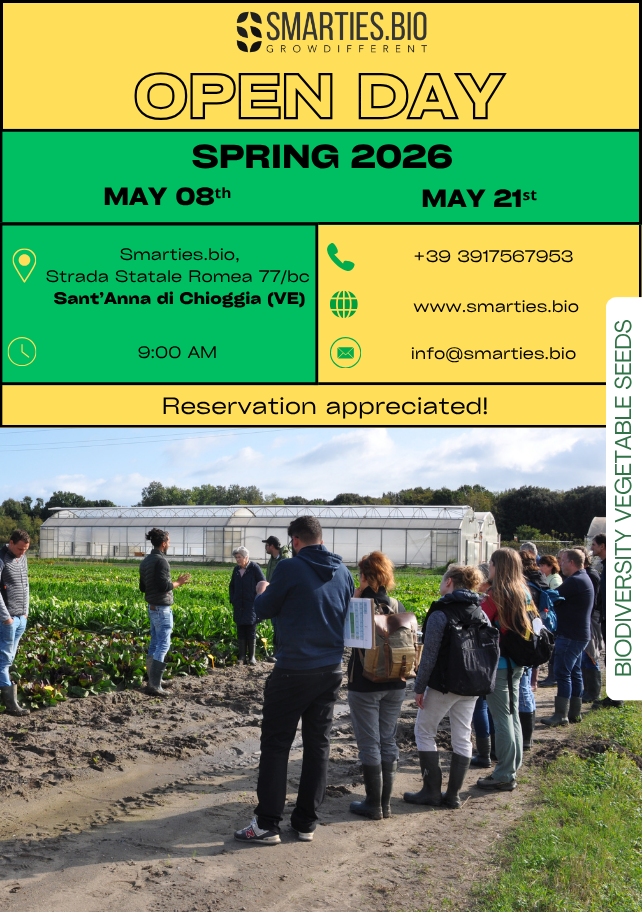 Open Day