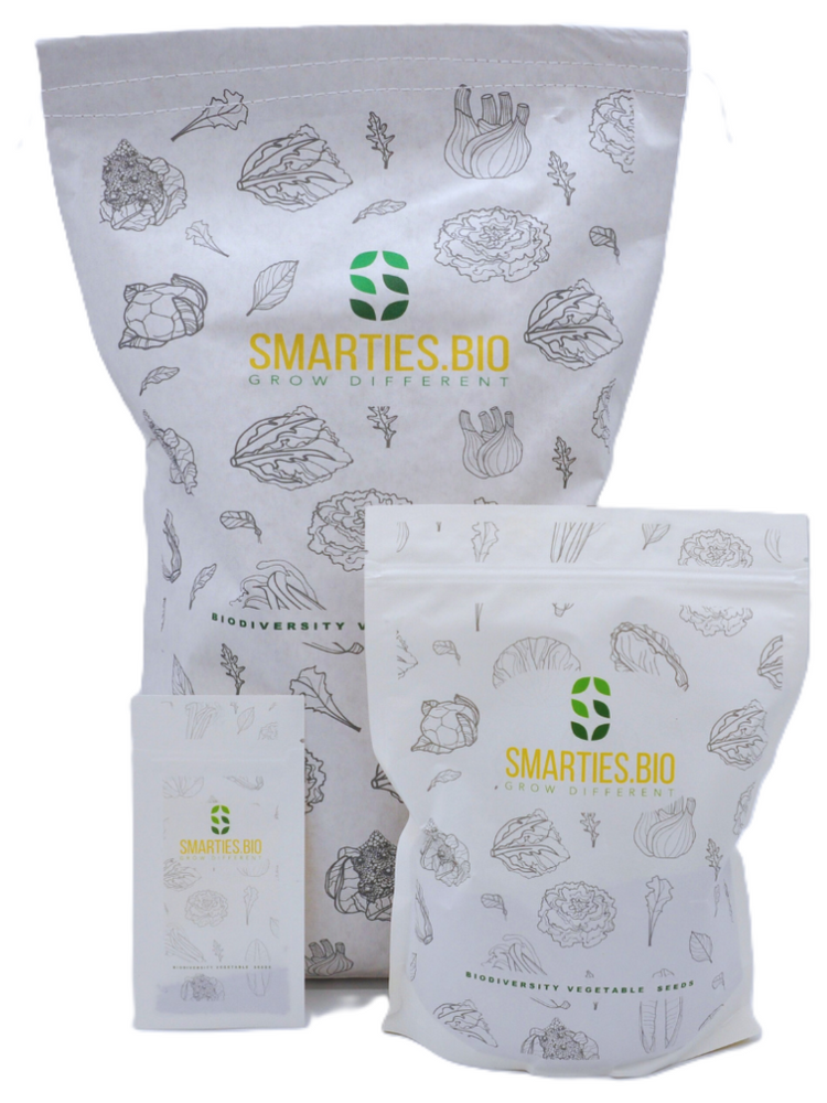 
                      
                        XS317 AGRETTI SEEDS | Smarties.bio
                      
                    