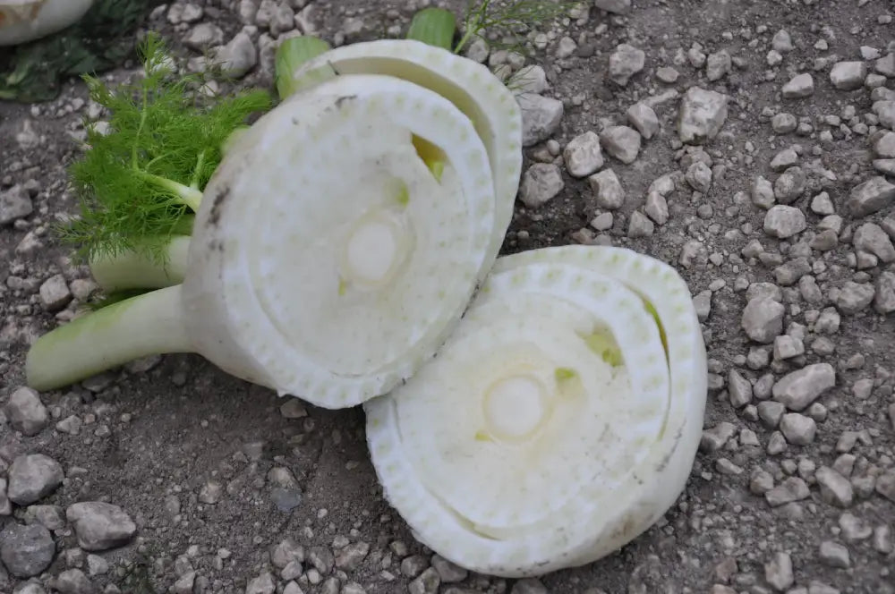 
                      
                        TRILLO FENNEL SEEDS | Smarties.bio
                      
                    