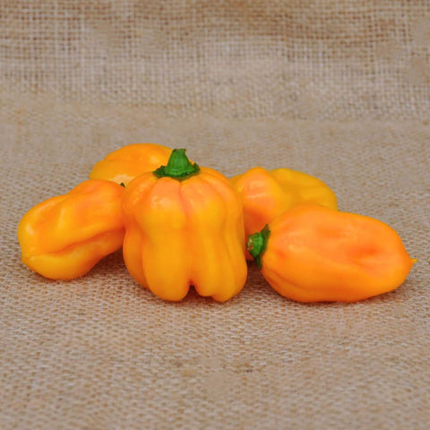 YELLOW HOT PEPPER HABANERO SEEDS | Smarties.bio
