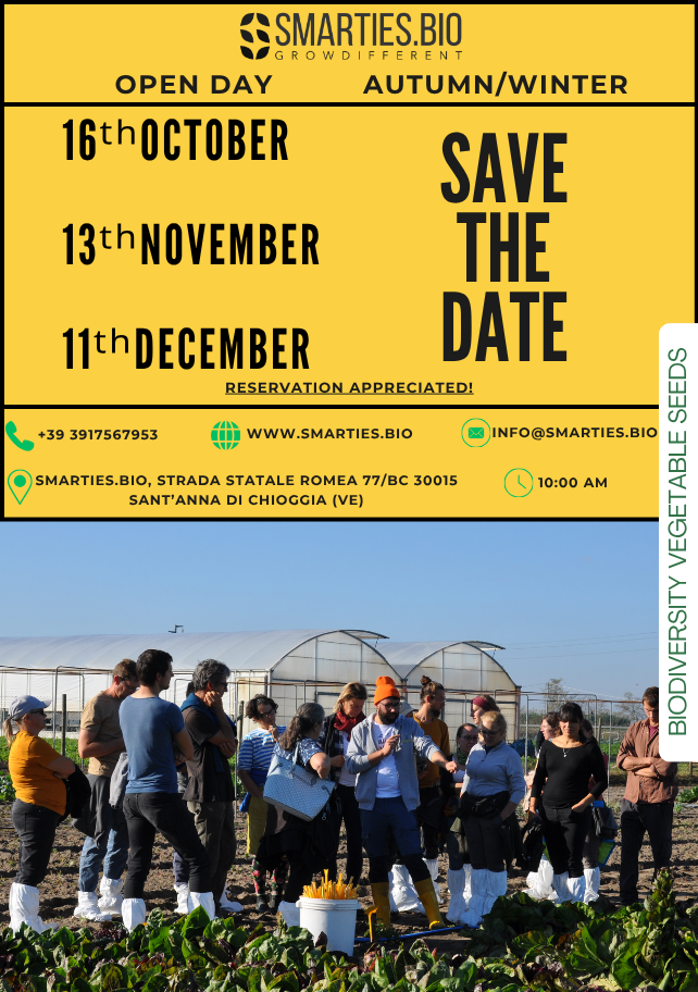 Open Day