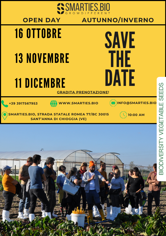 Open Day