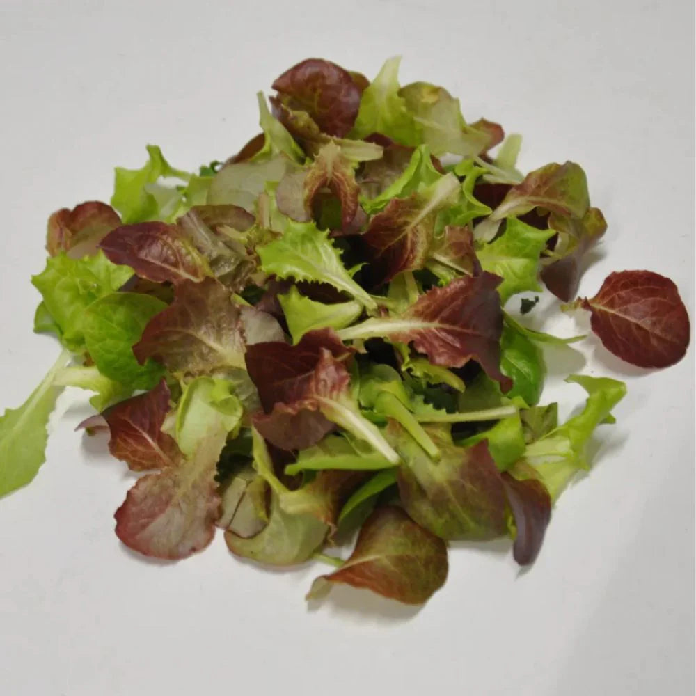 #SM4.76 SPRING MIX BABY LEAF LETTUCE SEEDS | Smarties.bio