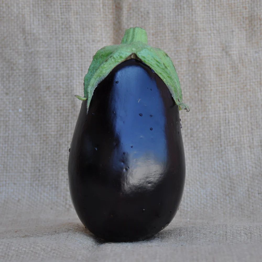 BINDI OVAL EGGPLANT SEEDS | Smarties.bio