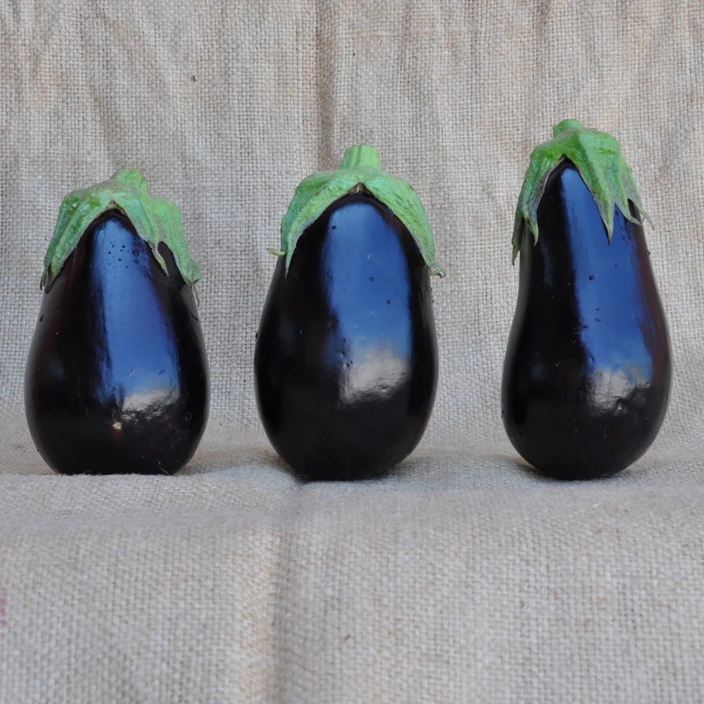 BINDI OVAL EGGPLANT SEEDS | Smarties.bio