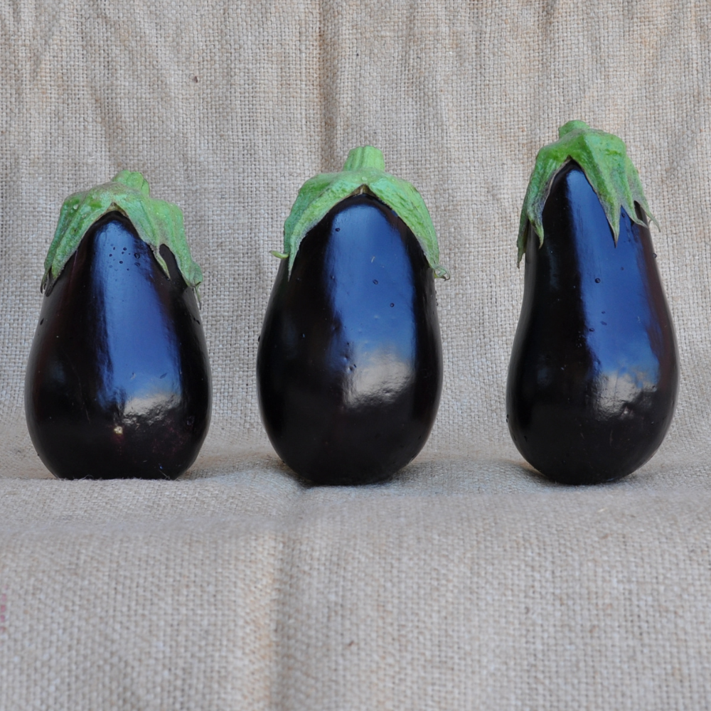 BINDI EGGPLANT SEEDS | Smarties.bio