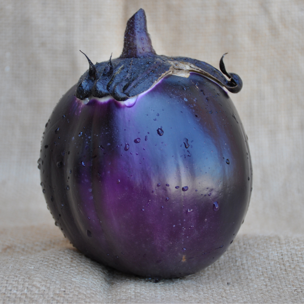 SANTA CRUZ EGGPLANT SEEDS | Smarties.bio