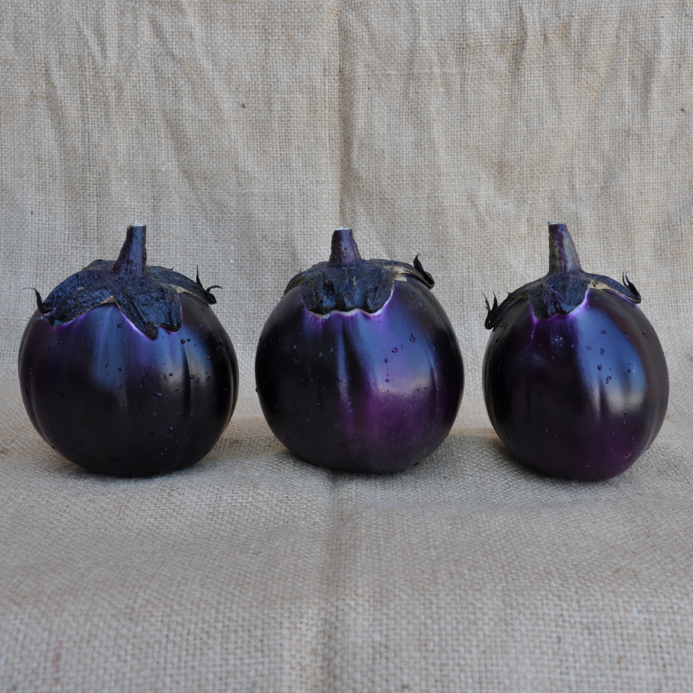 SANTA CRUZ EGGPLANT SEEDS | Smarties.bio