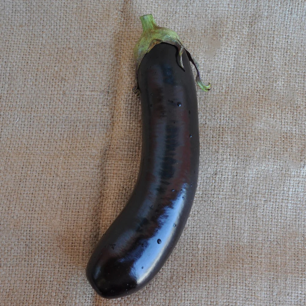 MANESH ALONGATED EGGPLANT SEEDS