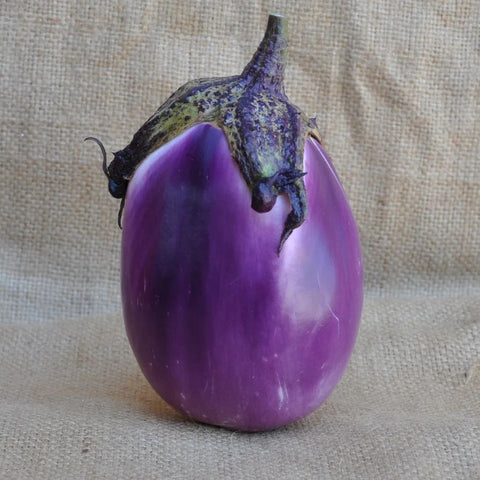 ROTONDA BIANCA SFUMATA DI ROSA ROUND EGGPLANT SEEDS | Smarties.bio