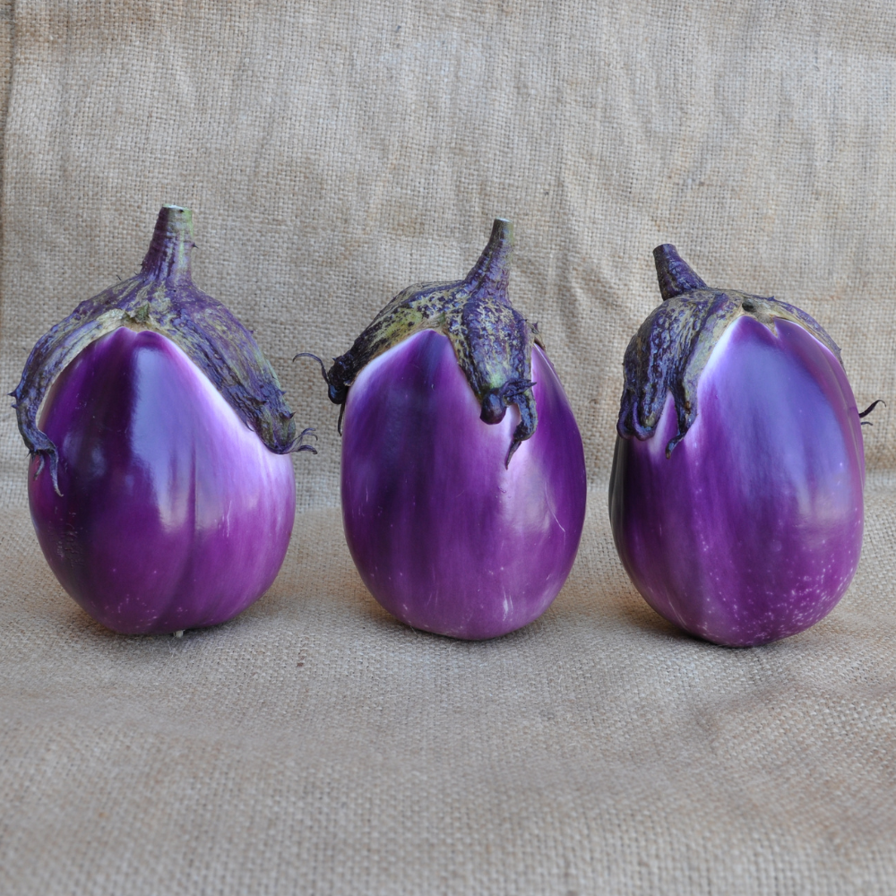 ROTONDA BIANCA SFUMATA DI ROSA EGGLPLANT SEEDS | Smarties.bio