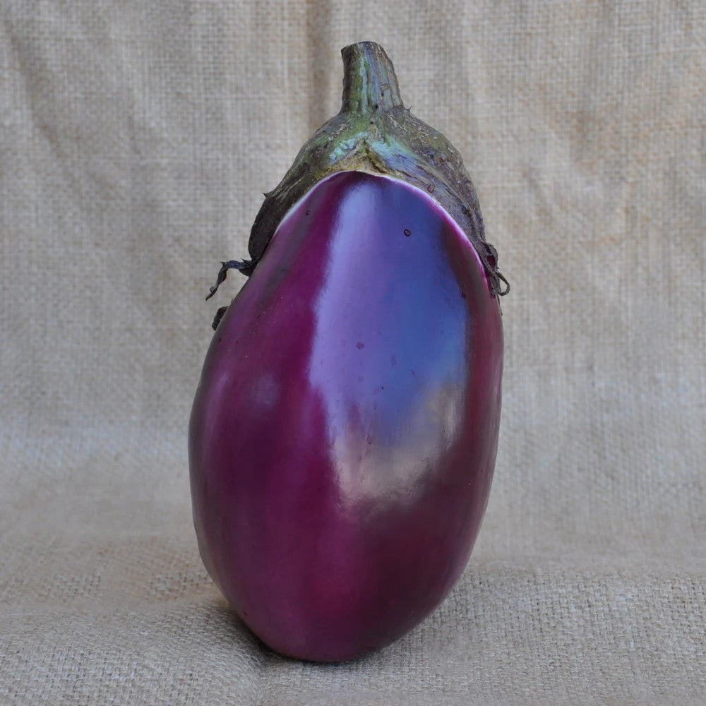 SATIRIA EGGPLANT SEEDS | Smarties.bio
