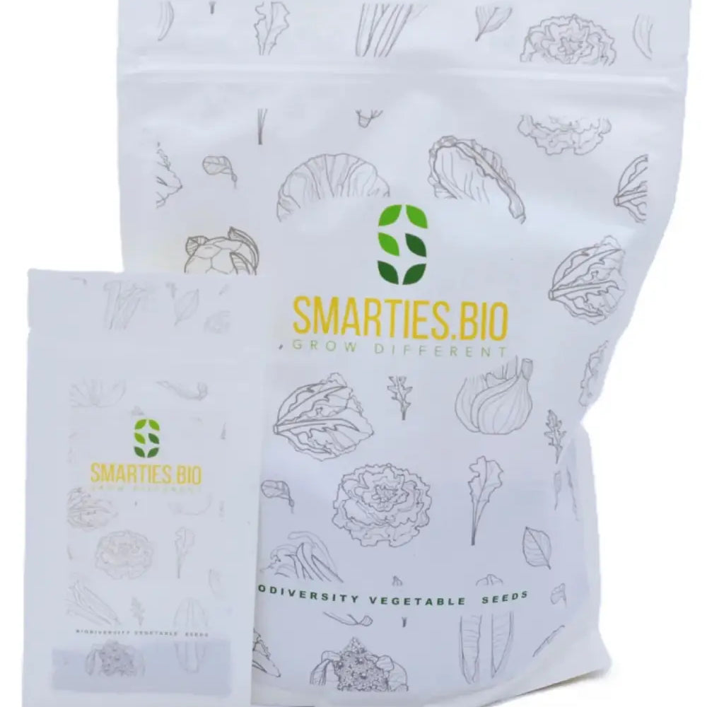 XS303 CIPOLLA TONDA MUSONA BIANCA (WHITE ROUNDED ONION MUSONA) SEEDS | Smarties.bio