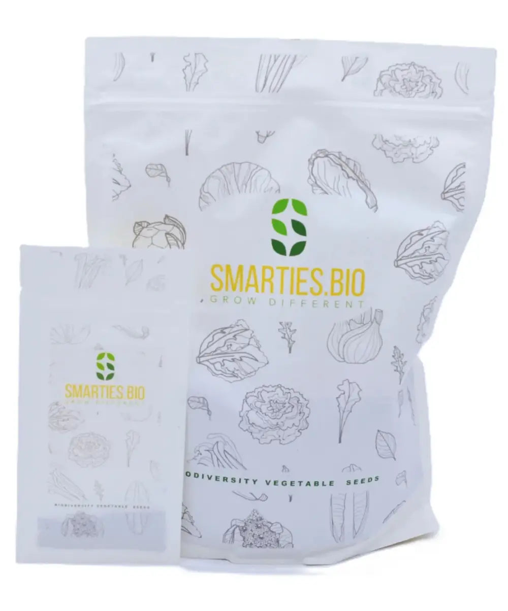 XS303 CIPOLLA TONDA MUSONA BIANCA (WHITE ROUNDED ONION MUSONA) SEEDS | Smarties.bio