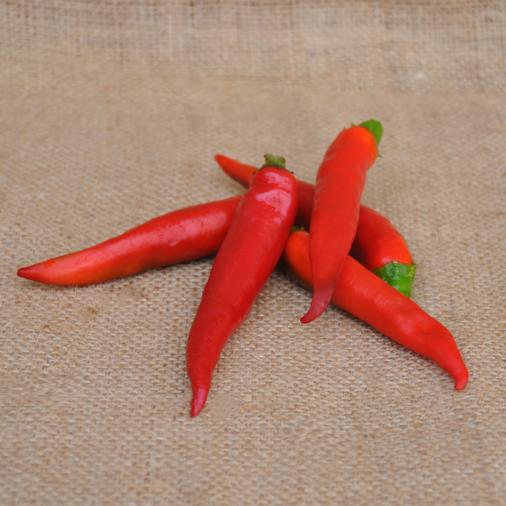CAYENNA F1 HOT PEPPER SEEDS| Smarties.bio